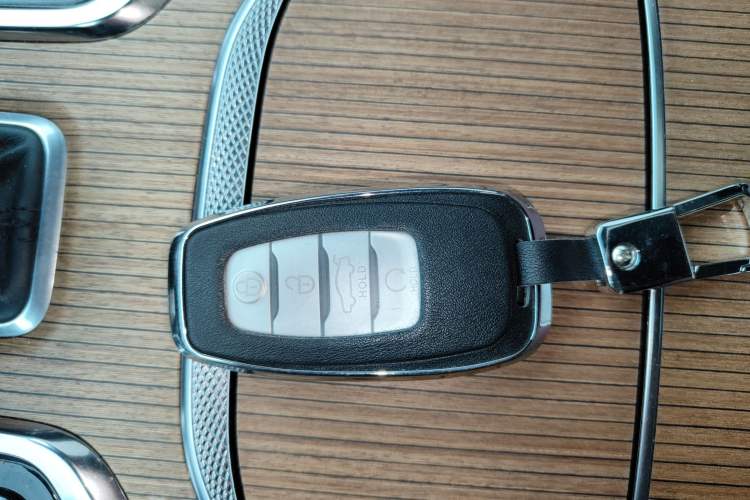 Used Hongqi E-HS9 2021 460 km Range Flagship Edition Six-Seater