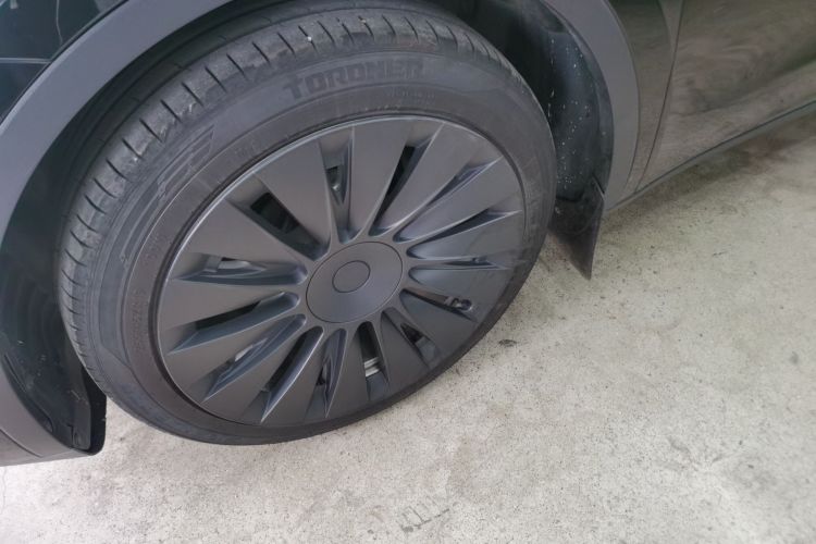 Used Tesla Model Y 2021 Standard Range Rear-Wheel Drive Version