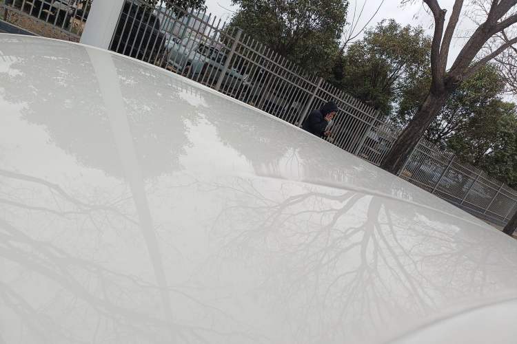 Used BYD Seagull 2023 Free Edition
