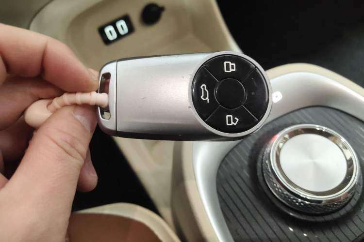 Used ORA Good Cat 2022 Morandi Edition 400km Standard Range Luxury Version Lithium Iron Phosphate