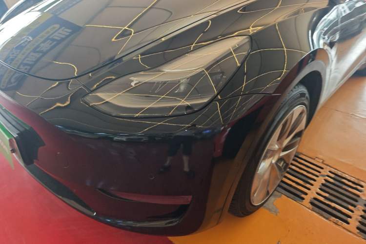 Used Tesla Model Y 2021 Standard Range Rear-Wheel Drive Version
