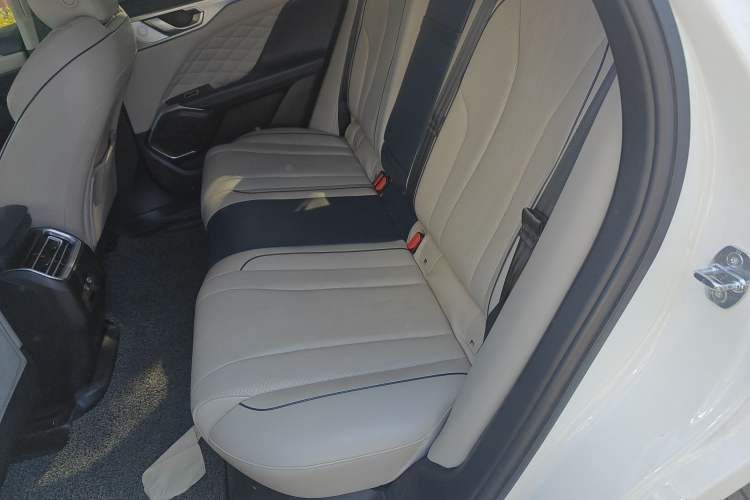 Used Wey Mocha 2021 2.0T Two-Wheel Drive Special Edition