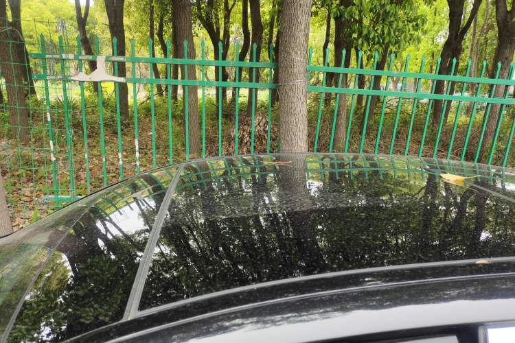 Used Mercedes-Benz E-Class 2019 E 260 L Sport Edition Roof