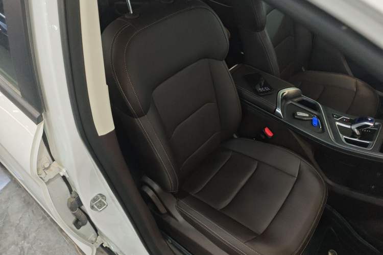 Used Livan Maple 80v L 2024 515 km Range 7 Seats Right Front Seat