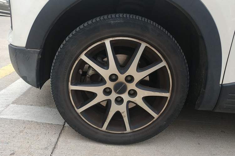 Used Dayun Yuehu 2021 32.85 kWh Two-Wheel-Drive Sprite Version