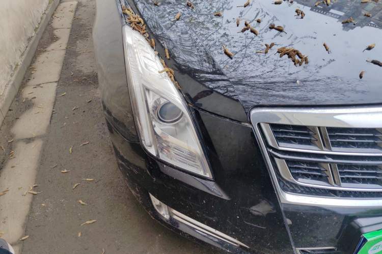 Used Cadillac XTS 2017 28T Elite Model Right Front Headlight