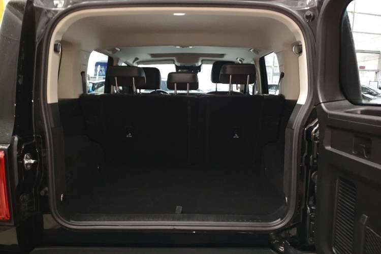 Used Tank 300 2024 2.0T Conqueror
