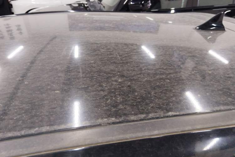 Used SOL E10X 2022 Flower Fairy Style Baby's Breath Roof