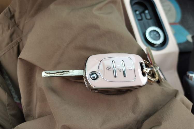 Used Wuling Hongguang MINIEV 2020 Enjoyment Model Lithium Iron Phosphate