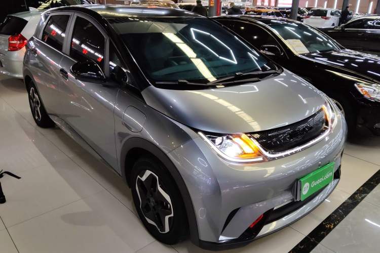 Used BYD Dolphin 2021 405 km Free Version
