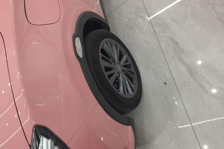 Used NETA V 2021 Witch Edition
