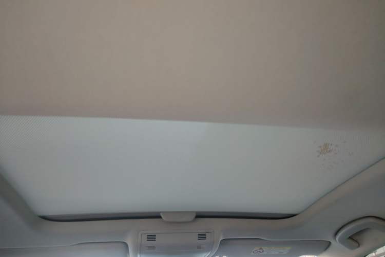 Used Volkswagen Golf Pure Electric 2020 Chari Headliner
