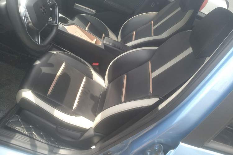 Used SOL E10X 2022 Flower Fairy Design Four-Leaf Clover