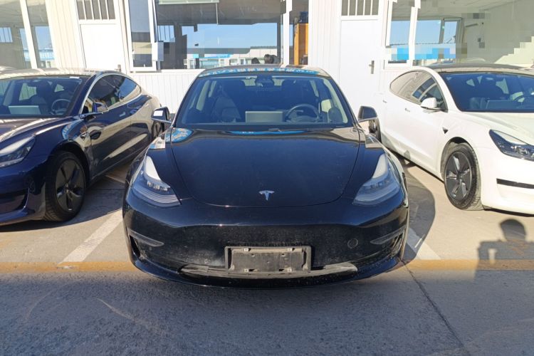 Used Tesla Model 3 (Import) 2019 Long-Range Rear-Wheel-Drive Version

