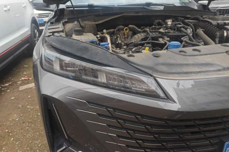 Used CHANGAN Eado DD 2023 Blue Whale NE 1.5T GDI DCT Enjoy Edition
