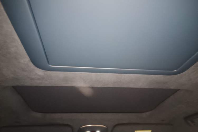 Used Zeekr 009 2022 WE Edition Headliner