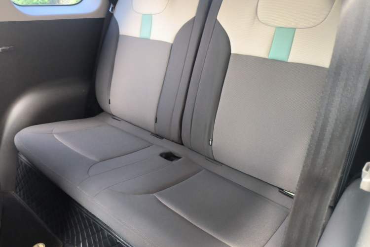 Used CHANGAN NEVO Lumin 2023 205km Xiangqin Version Left Rear Seat