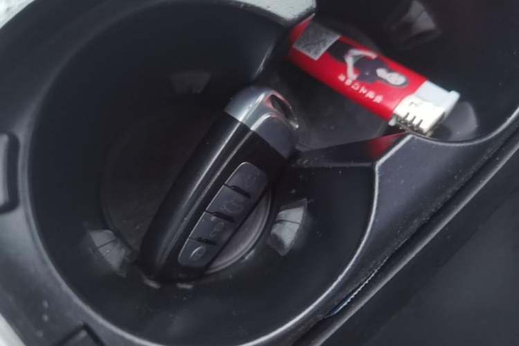 Used Hongqi E-HS9 2021 510 km Range Flagway Edition Six Seats Vehicle Key