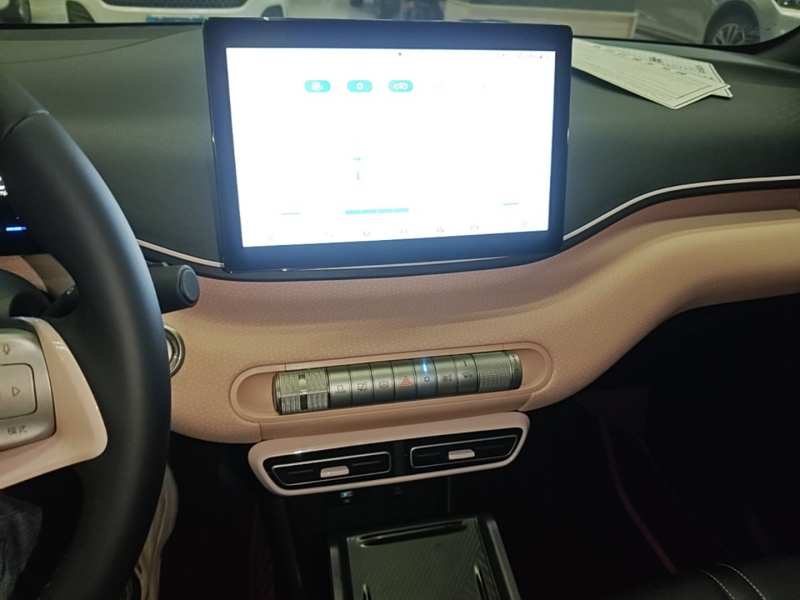 Used BYD Seagull 2023 Free Edition — 12