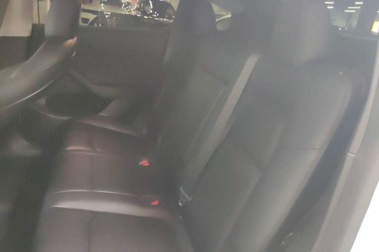 Used Tesla Model Y 2021 Long-Range All-Wheel-Drive Version 3D7 Left Rear Seat