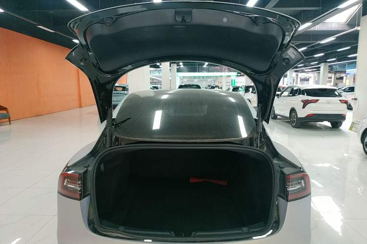 Used Tesla Model 3 2021 Standard Range Rear-Wheel Drive Upgraded Version 3D6
