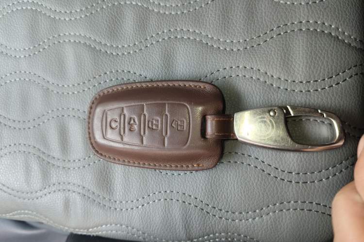 Used Great Wall Poer 2021 2.0T Global Version Automatic Gasoline 4x4 Comfort Trim Standard Box with Trailer Capability GW4C20B Vehicle Key