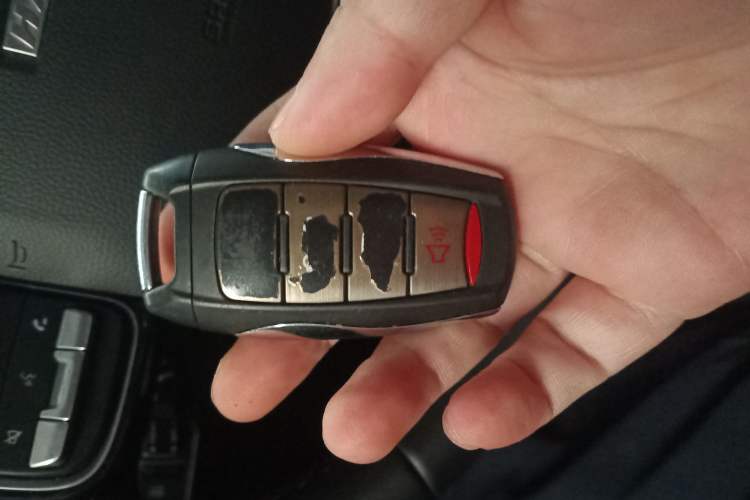 Used Haval DARGO 2022 1.5T DCT Two-Wheel Drive Border Collie Edition