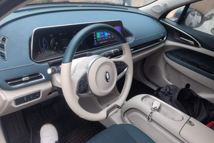 Used ORA Good Cat 2023 401 km Standard Range Luxury Version Lithium Iron Phosphate