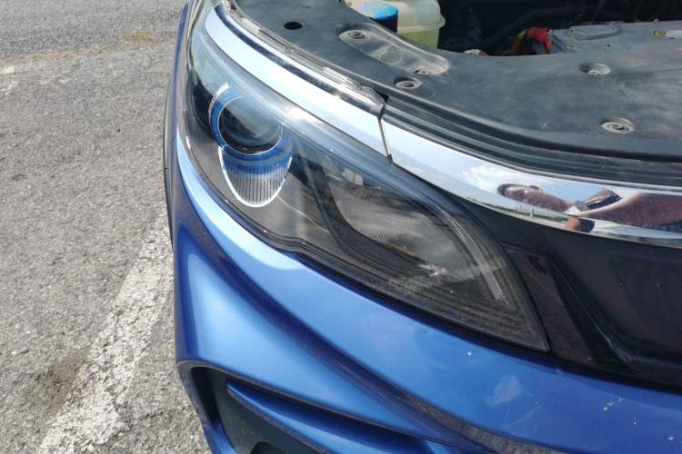 Used Livan Maple 30X 2020 Style Edition
