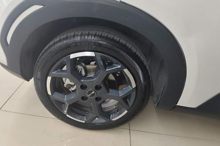 Used BYD Seagull 2025 305 km Free Version