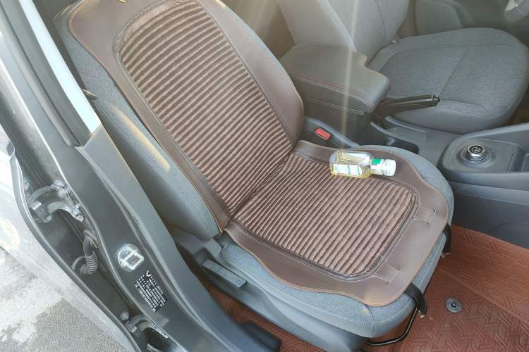 Used Wuling Hongguang New Energy 2024 All-Electric Model 300KM Standard Version