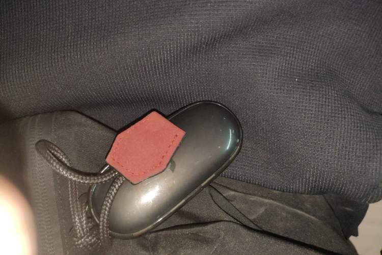 Used Li Auto L9 2022 Max model
