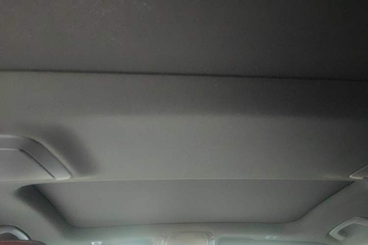 Used BMW 5 Series New Energy 2021 535Le M Sport Package Headliner