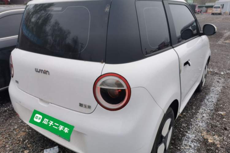 Used Qiyuan Lumin 2023 205km Xiangqin Version