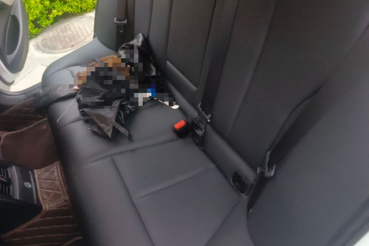 Used BMW 3 Series 2015 320i Luxury Line Stylish Edition Interior 4