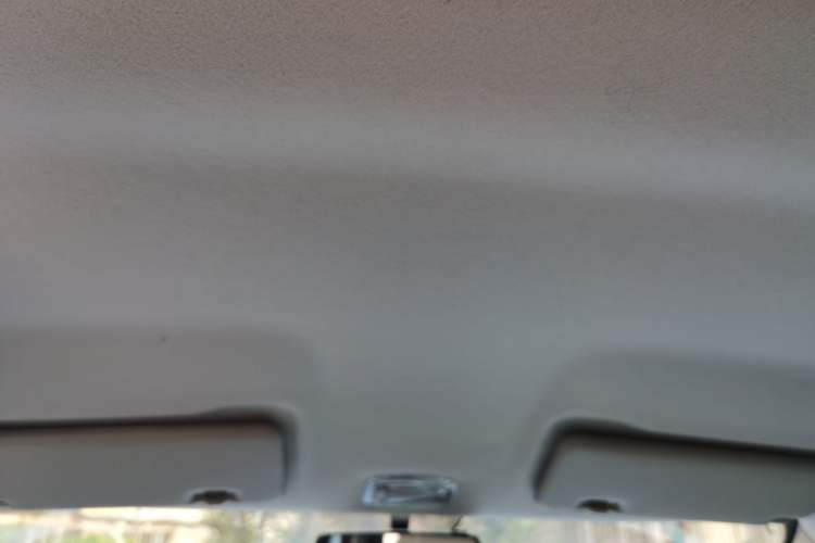 Used Dongfeng NAMMI EX1 2023 PRO Light Wind Edition Lightning Model Headliner