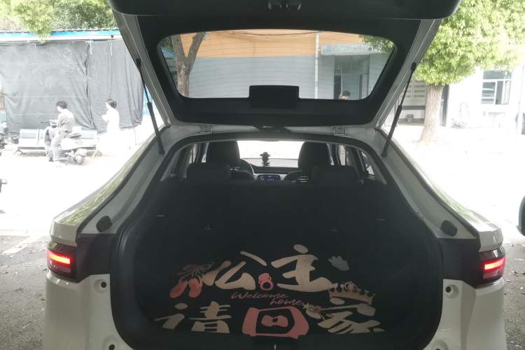 Used ORA iQ 2018 High-Range Version Smart Connectivity Model
