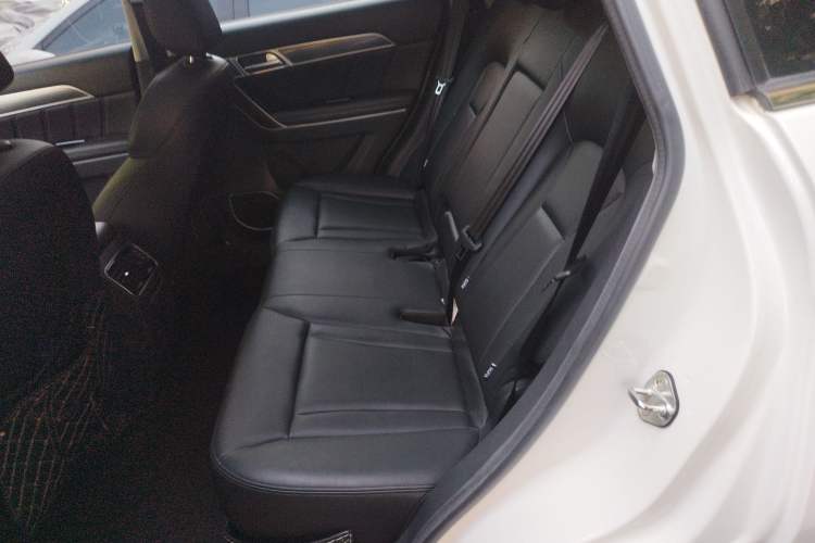 Used Haval H6 Coupe 2017 Blue Label 2.0T Automatic Two-Wheel Drive Urban Model Left Rear Seat