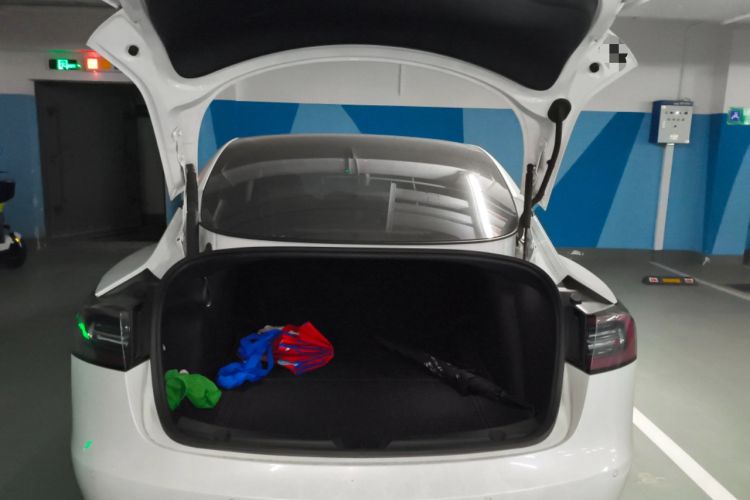 Used Tesla Model 3 2021 Performance High-Performance All-Wheel-Drive Version
