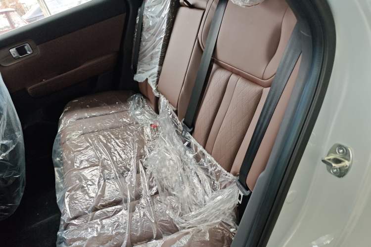 Used Wuling Xingguang S 2024 130km Flagship Version Left Rear Seat
