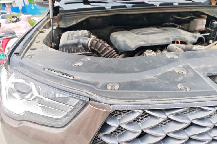 Used Great Wall Poer 2019 2.0T Commercial Version Manual Gasoline 4x4 Elite Long-Box GW4C20B