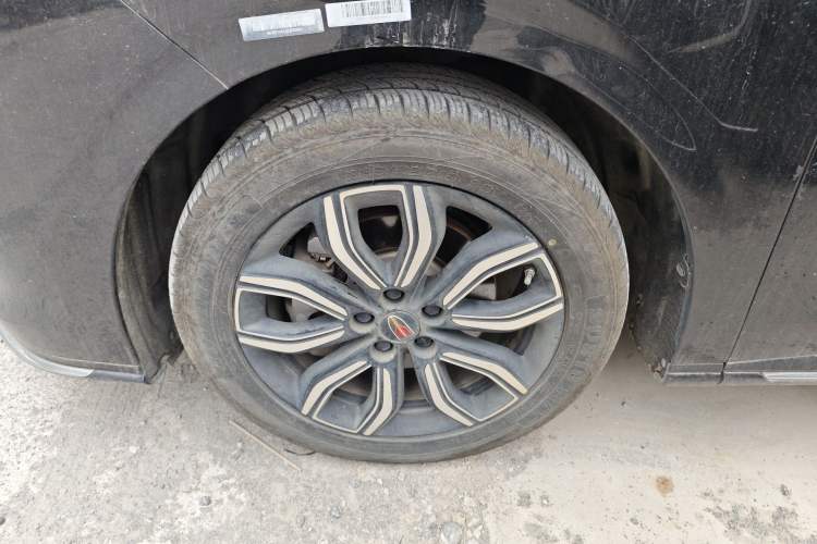 Used Hongqi HQ9 2023 2.0T Smart Connect Flagship Edition
