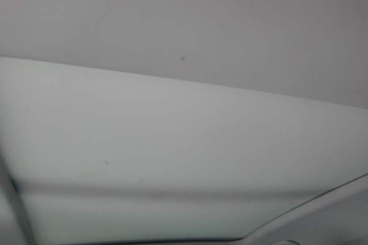 Used Volkswagen Passat 2019 330TSI Elite Edition China V Standard Headliner