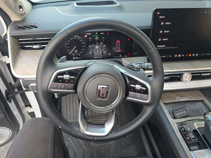 Used Tank 500 2022 3.0T Sport Edition “Creation” Version 5-Seater — 10