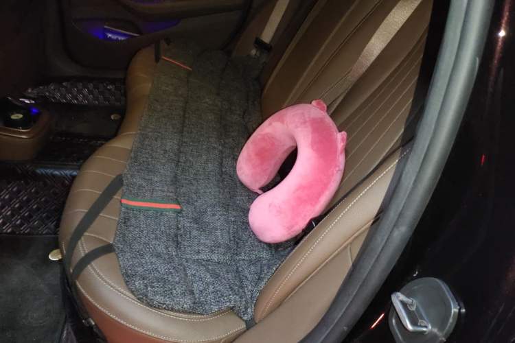 Used Mercedes-Benz E-Class New Energy 2021 E 350 e L Plug-in Hybrid Sedan Left Rear Seat