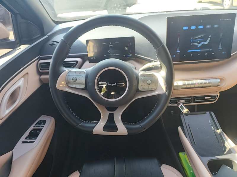 Used BYD Seagull 2023 Free Edition — 10