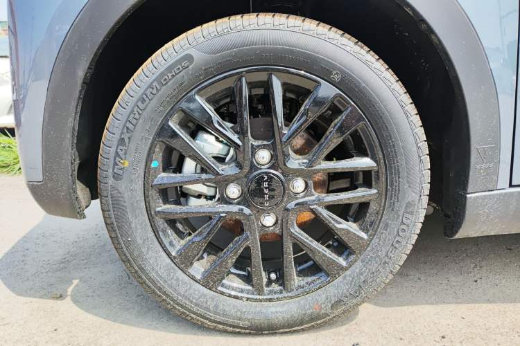 Used Chery Little Ant 2024 Revised Version Youth Edition 251 km True Love Edition 25.05 kWh Exterior 4