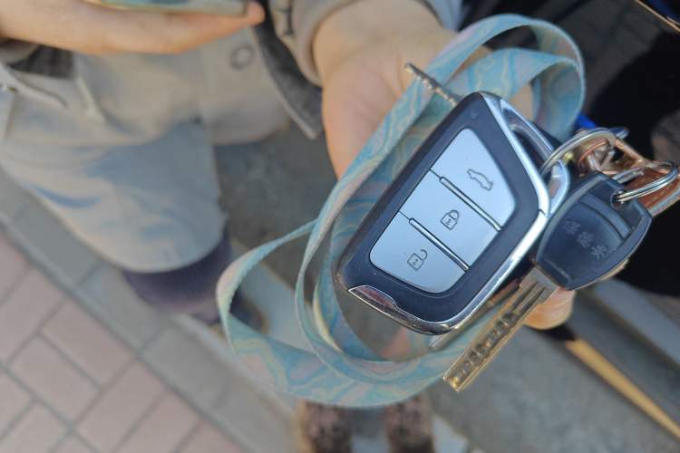 Used SOL X8 2021 300T DCT Luxury Smart Connect Edition 5 Seats