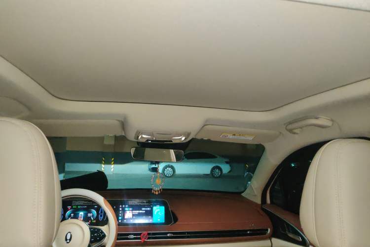 Used ORA Good Cat 2024 401 km Luxury Version Headliner