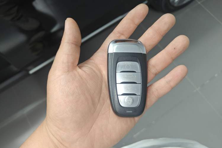 Used Hongqi E-HS9 2022 660 km Range Flagway Edition Six Seats
